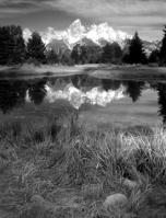 Black and White
